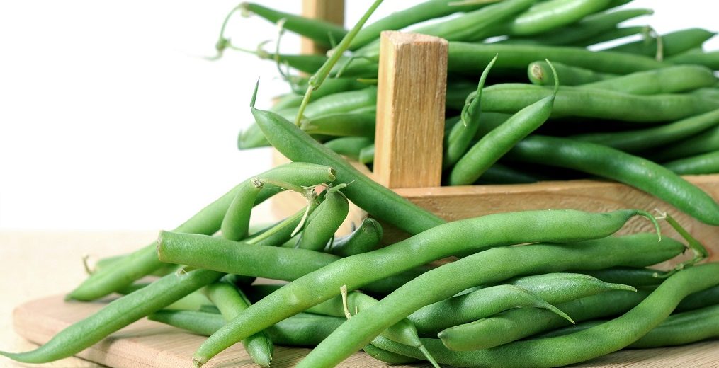 Know more about Bush Beans Vs Pole Beans