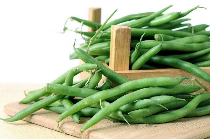 Know more about Bush Beans Vs Pole Beans